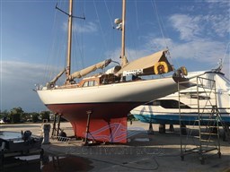 PHOTO-2025-03-12-04-42-36 4