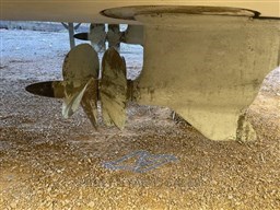 absolute-47-30542120212369545149564966514570x