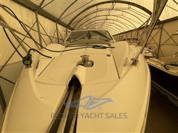 absolute-47-30531120212369545149535669654565x