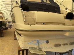 absolute-47-30522120212369545149515450554570x