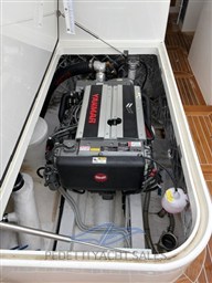 TOY 36 (26)