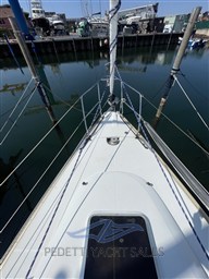 IMG_5704