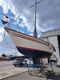 PHOTO-2025-11-10-14-21-52