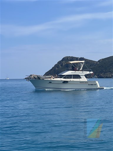 ACM Excellence 38
