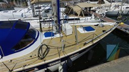 WAUQUIEZ_AMPHITRITE_43_26