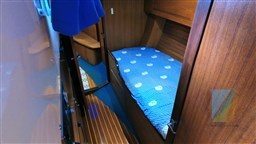 WAUQUIEZ_AMPHITRITE_43_87