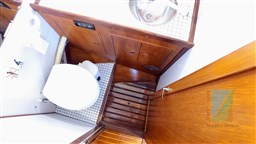 WAUQUIEZ_AMPHITRITE_43_85