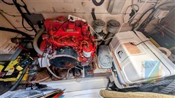 PXL_20251217_104916885-EDIT