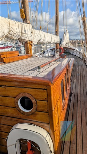 PXL_20251217_104601603.MP-EDIT