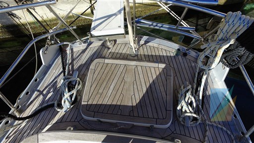 Swan_65_33