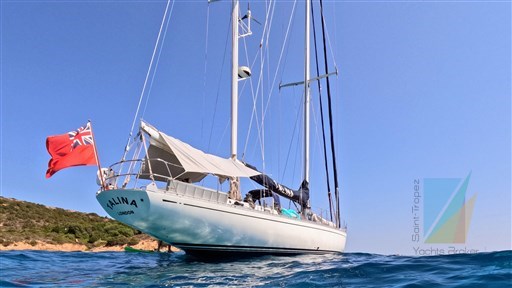 Swan_65_11