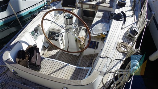 Swan_65_34