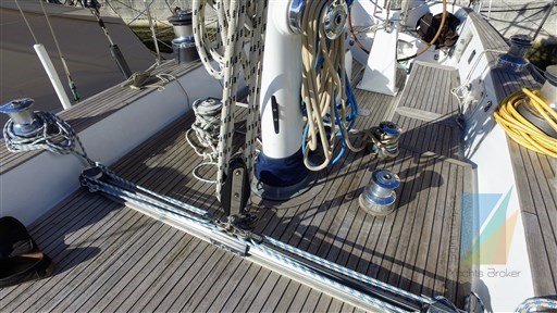 Swan_65_46