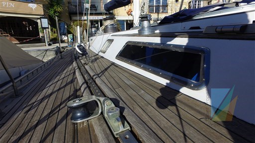 Swan_65_67