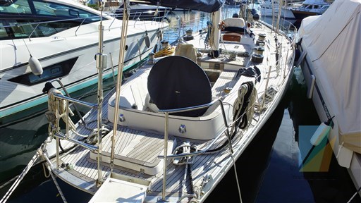 Swan_65_31