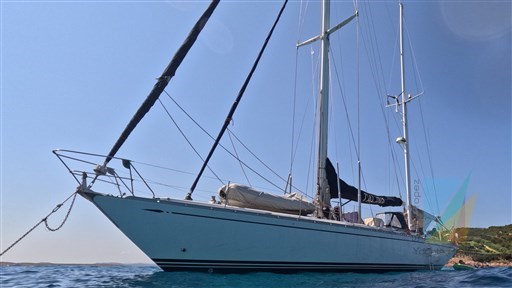 Swan_65_6