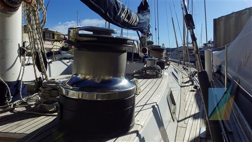 Swan_65_43
