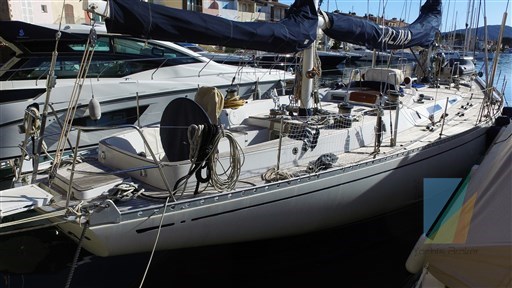 Swan_65_27