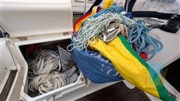 PXL_20260116_150158397