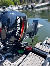 WhatsApp Image 2024-08-22 at 17.31.20 (3).jpeg