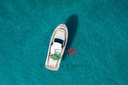 DJI_0860.jpeg